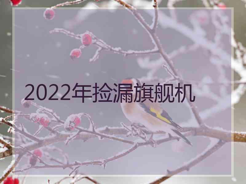 2022年捡漏旗舰机