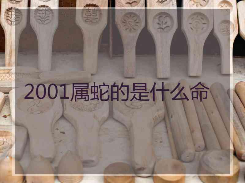 2001属蛇的是什么命