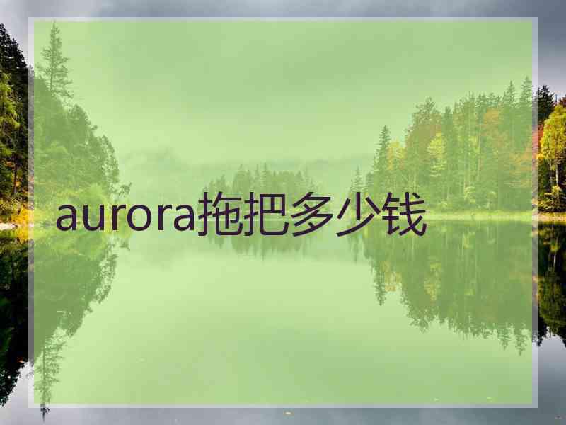 aurora拖把多少钱