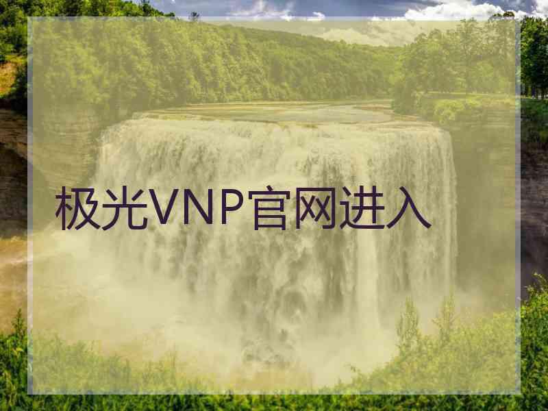 极光VNP官网进入