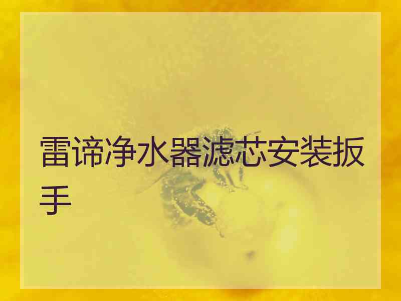 雷谛净水器滤芯安装扳手