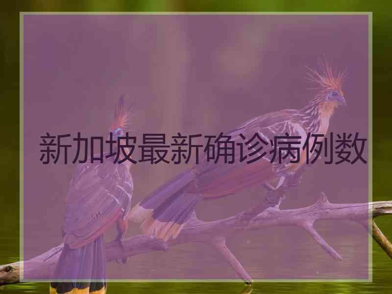 新加坡最新确诊病例数