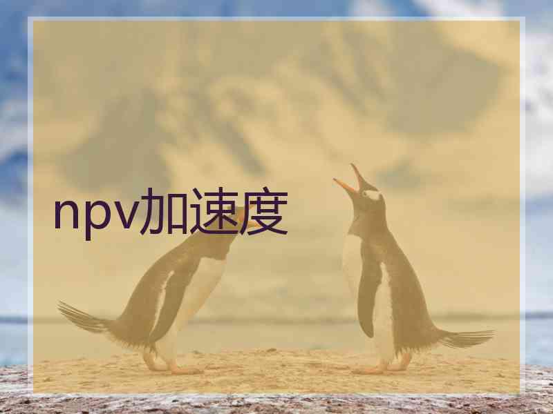 npv加速度