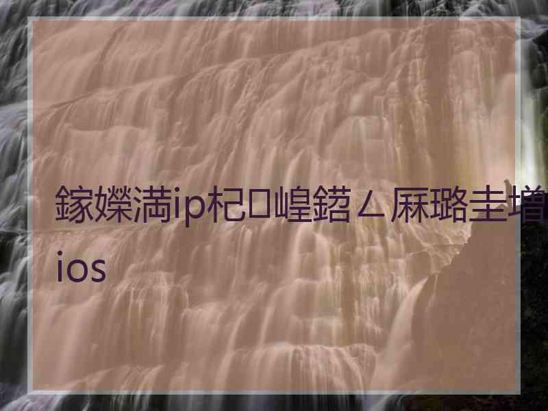 鎵嬫満ip杞崲鍣ㄥ厤璐圭増ios