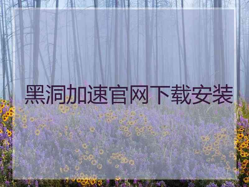 黑洞加速官网下载安装