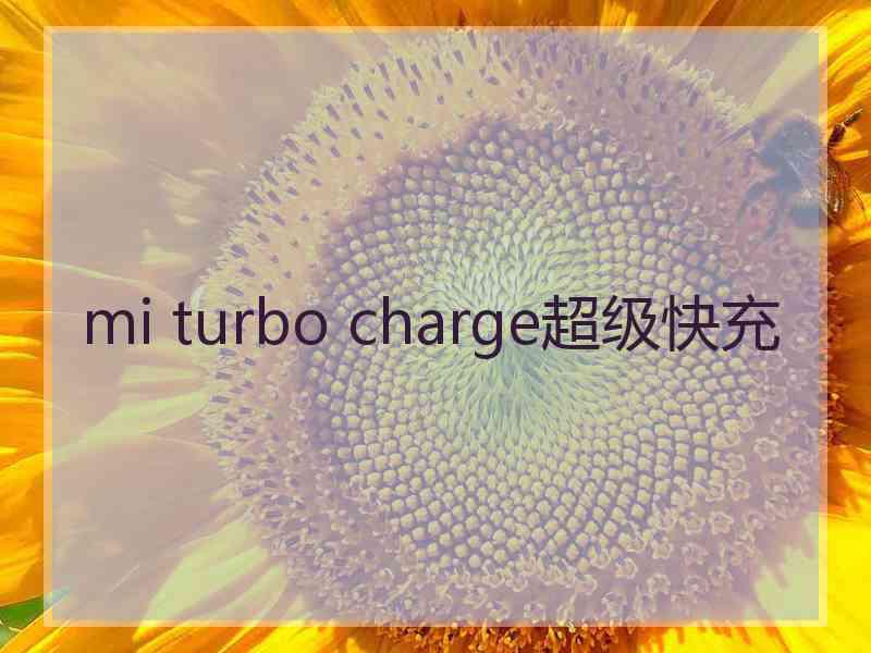 mi turbo charge超级快充