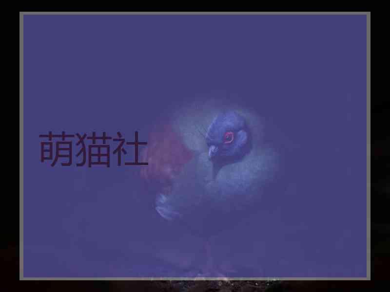 萌猫社