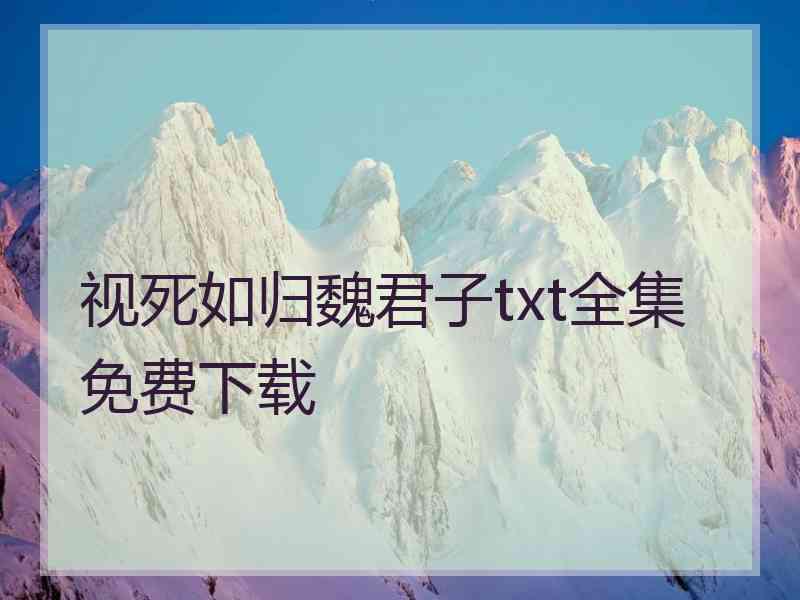 视死如归魏君子txt全集免费下载