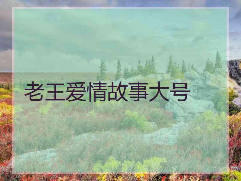 老王爱情故事大号
