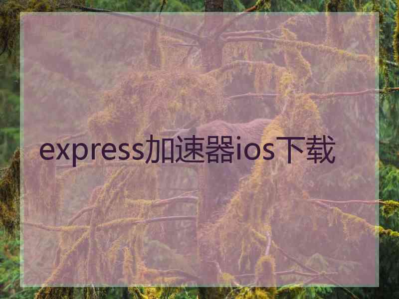 express加速器ios下载