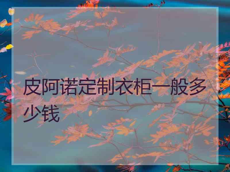 皮阿诺定制衣柜一般多少钱
