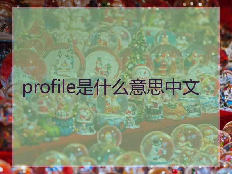 profile是什么意思中文