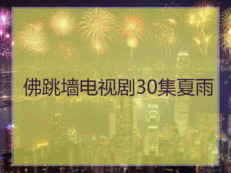 佛跳墙电视剧30集夏雨