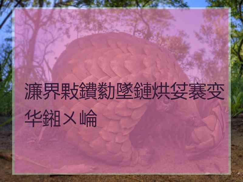 濂界敤鐨勬墜鏈烘姇褰变华鎺ㄨ崘