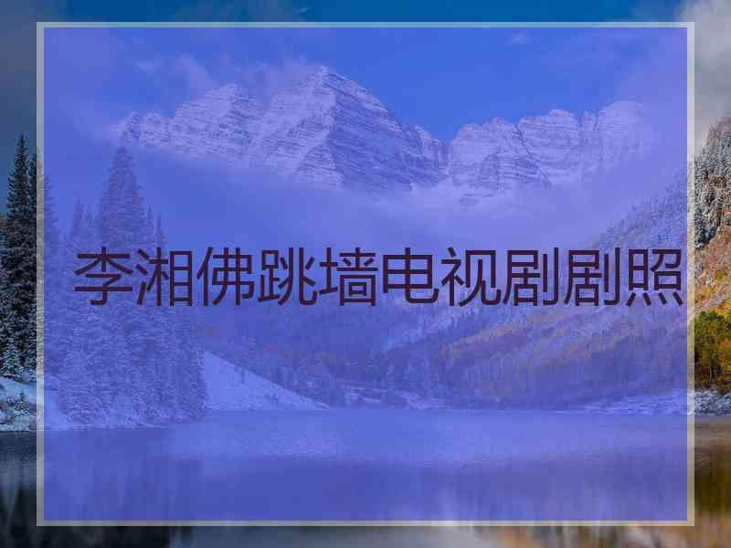 李湘佛跳墙电视剧剧照