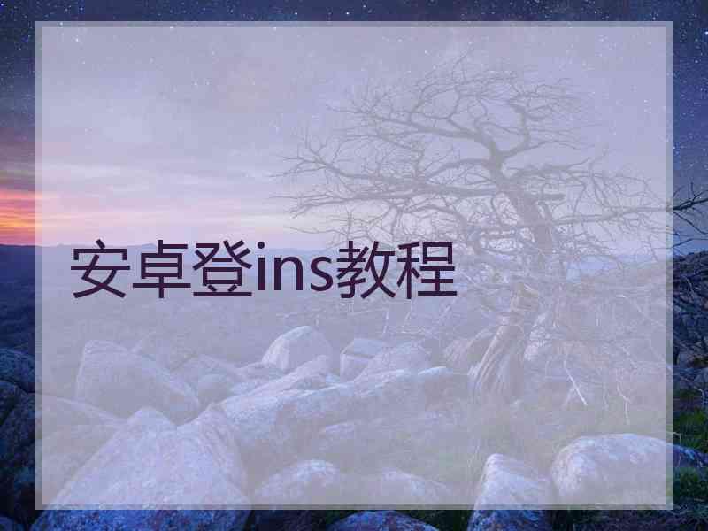 安卓登ins教程
