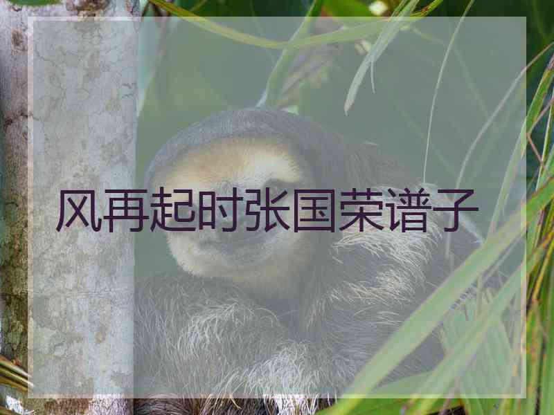 风再起时张国荣谱子