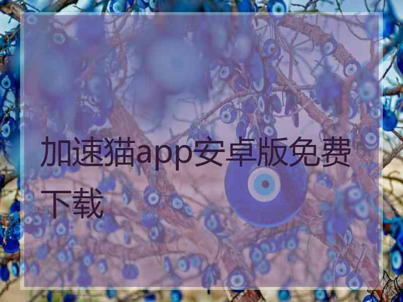 加速猫app安卓版免费下载