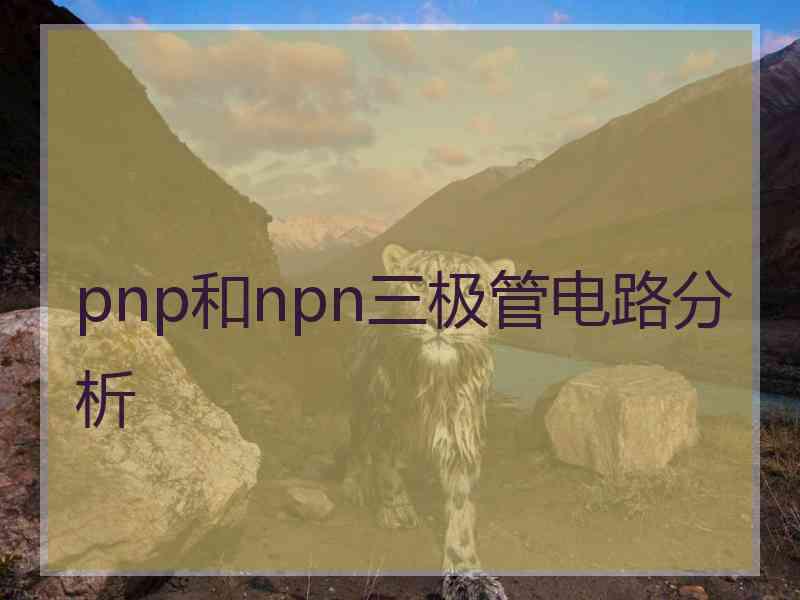 pnp和npn三极管电路分析