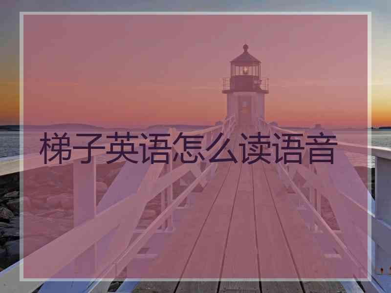 梯子英语怎么读语音