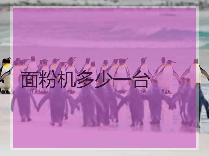 面粉机多少一台