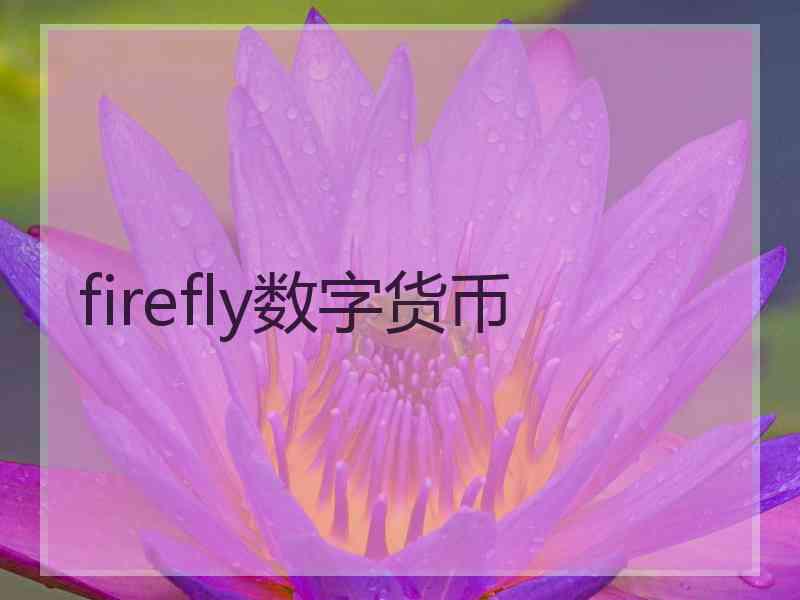 firefly数字货币