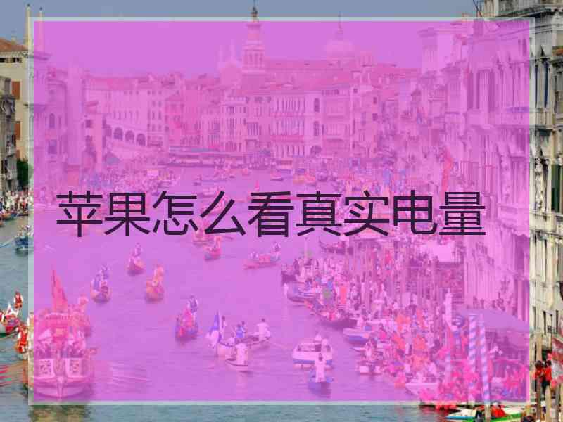苹果怎么看真实电量