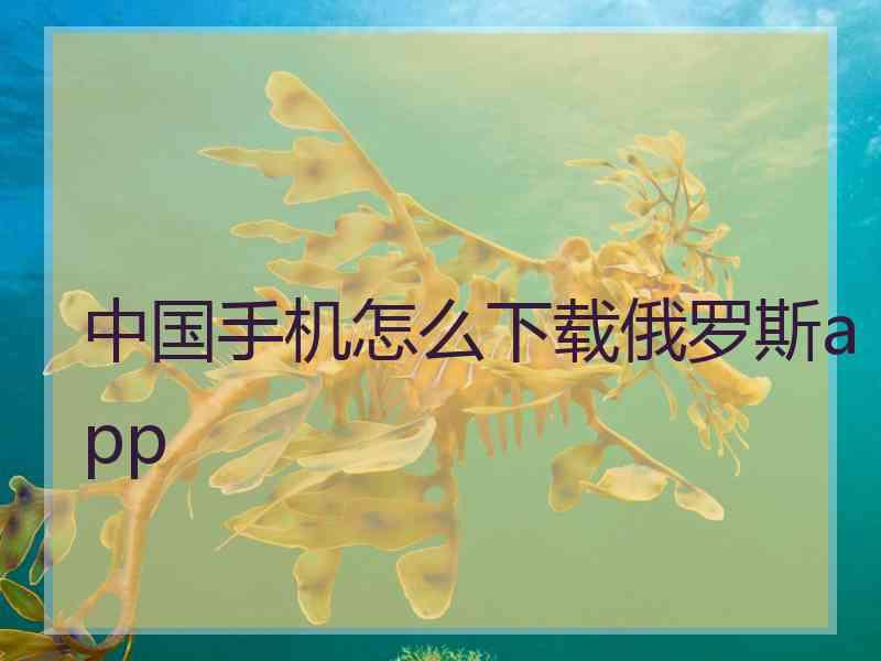中国手机怎么下载俄罗斯app
