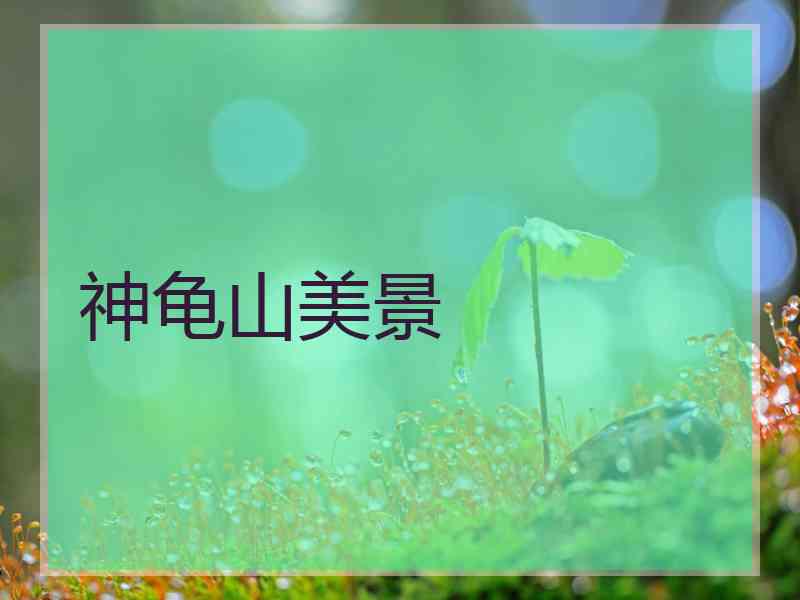 神龟山美景