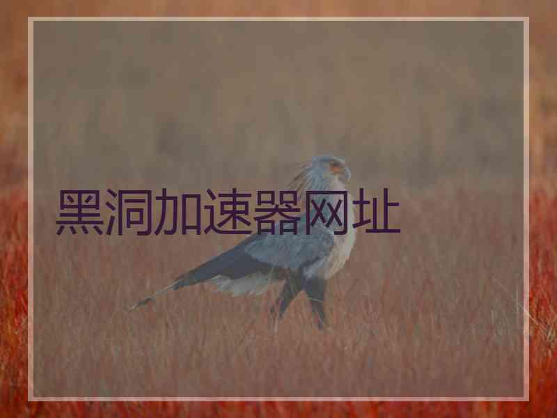 黑洞加速器网址
