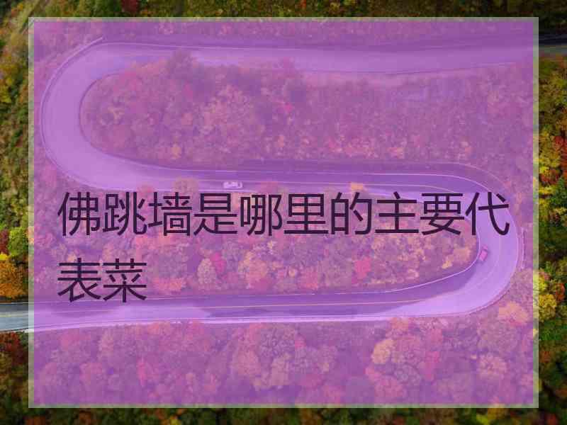 佛跳墙是哪里的主要代表菜