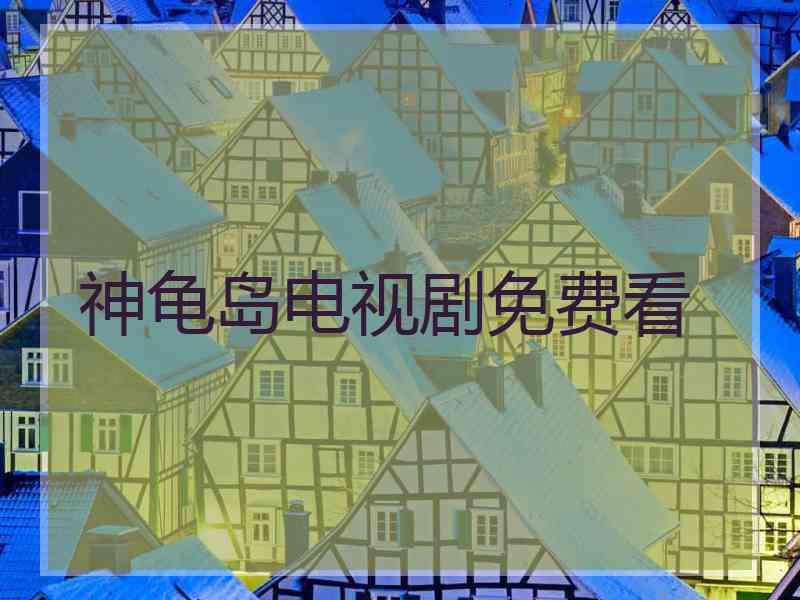 神龟岛电视剧免费看