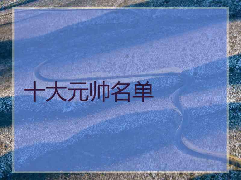 十大元帅名单