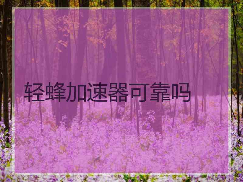 轻蜂加速器可靠吗