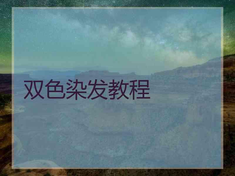 双色染发教程