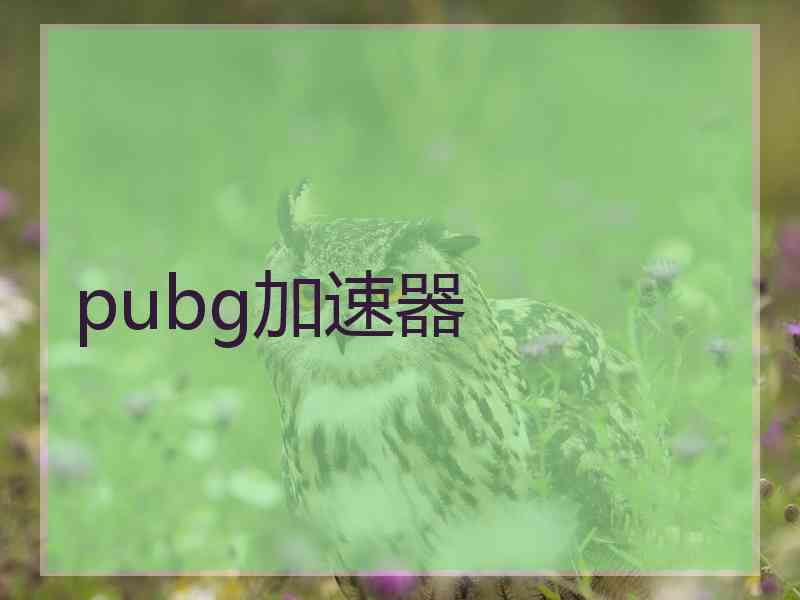 pubg加速器