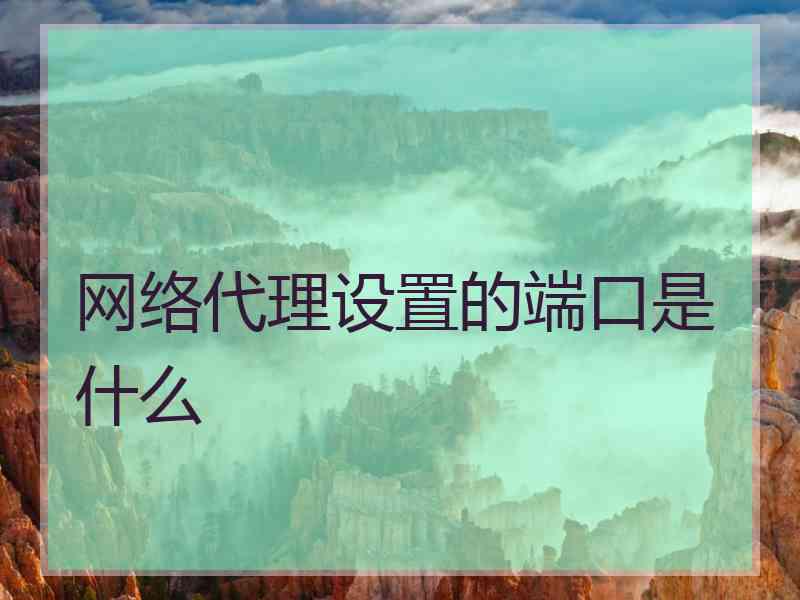 网络代理设置的端口是什么