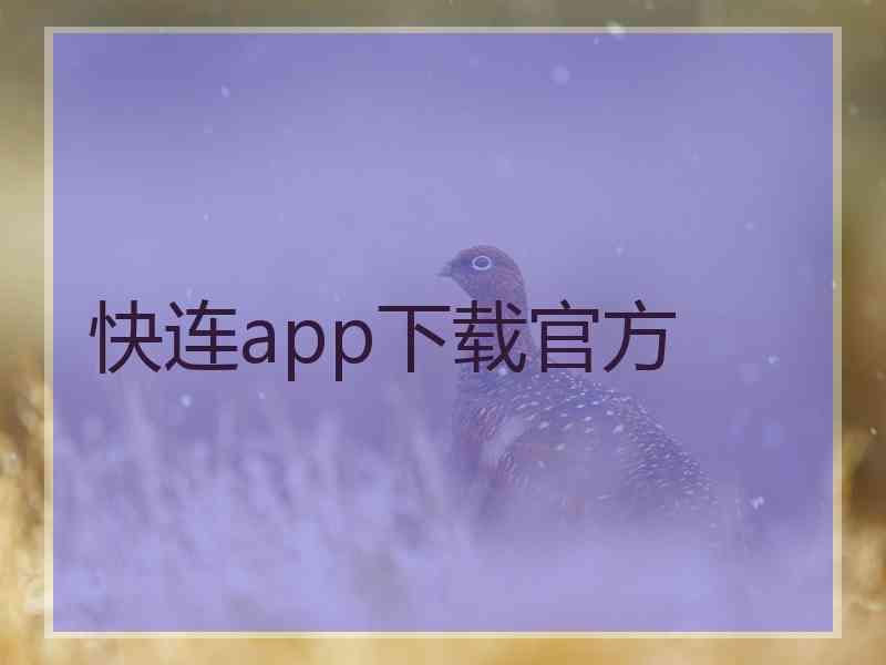 快连app下载官方