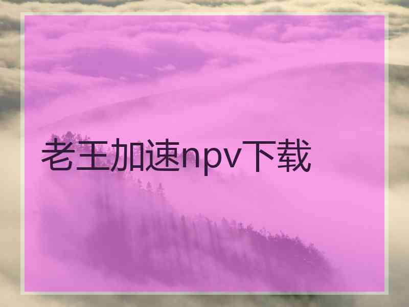 老王加速npv下载