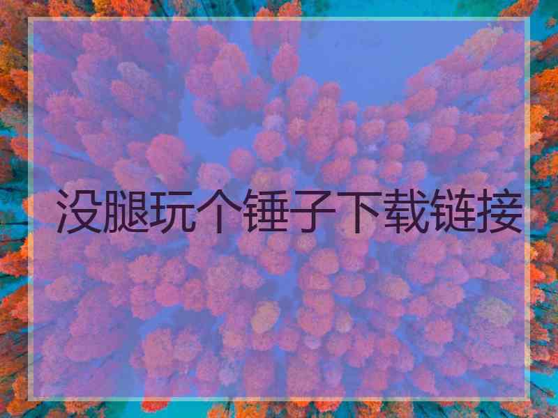 没腿玩个锤子下载链接