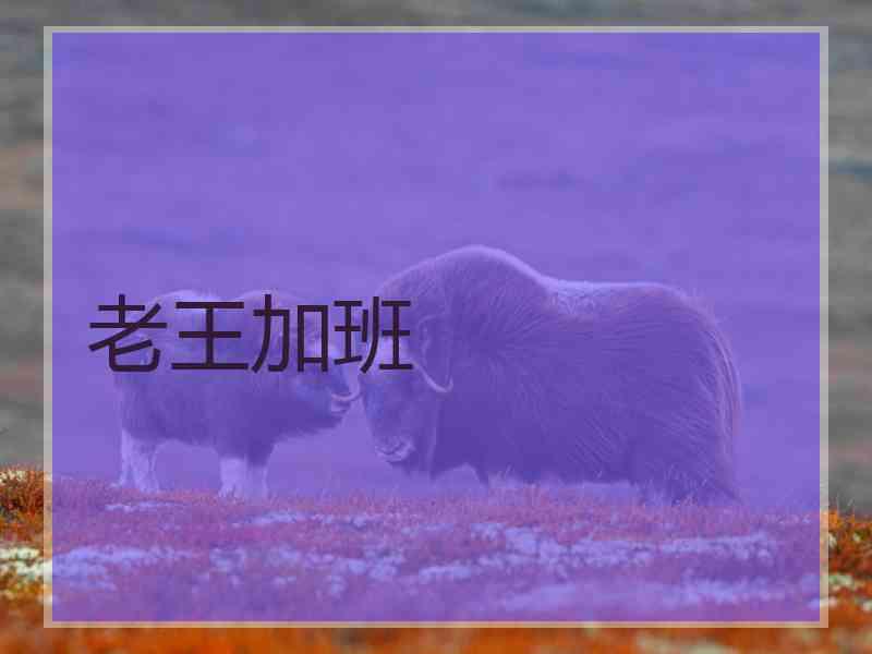 老王加班