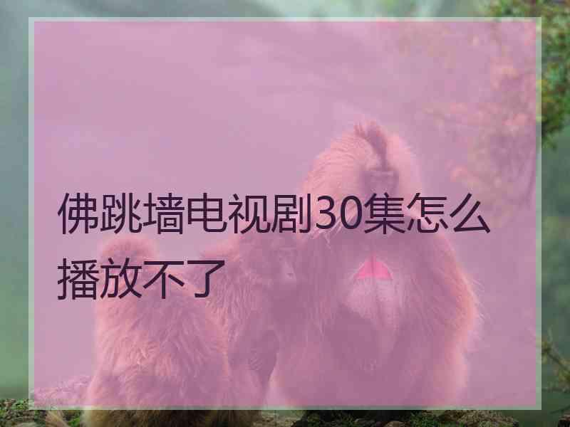 佛跳墙电视剧30集怎么播放不了