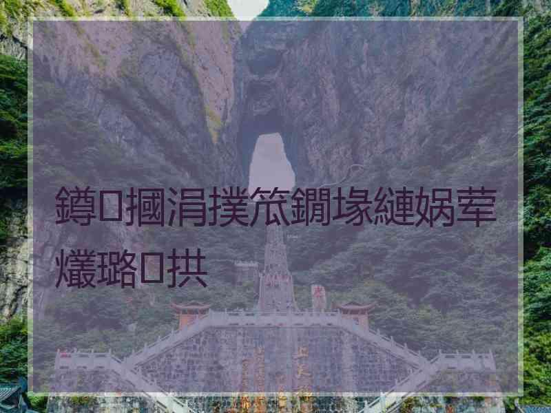 鐏摑涓撲笟鐗堟縺娲荤爜璐拱