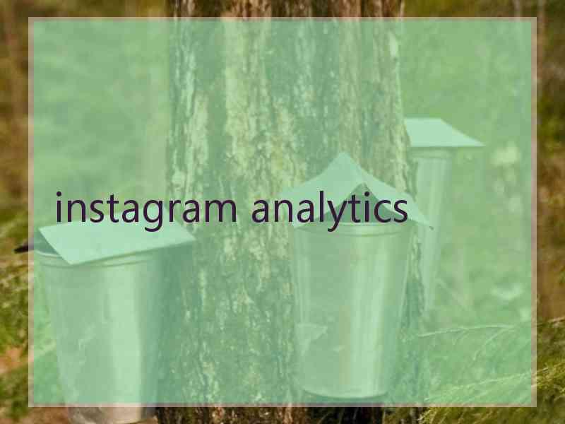 instagram analytics