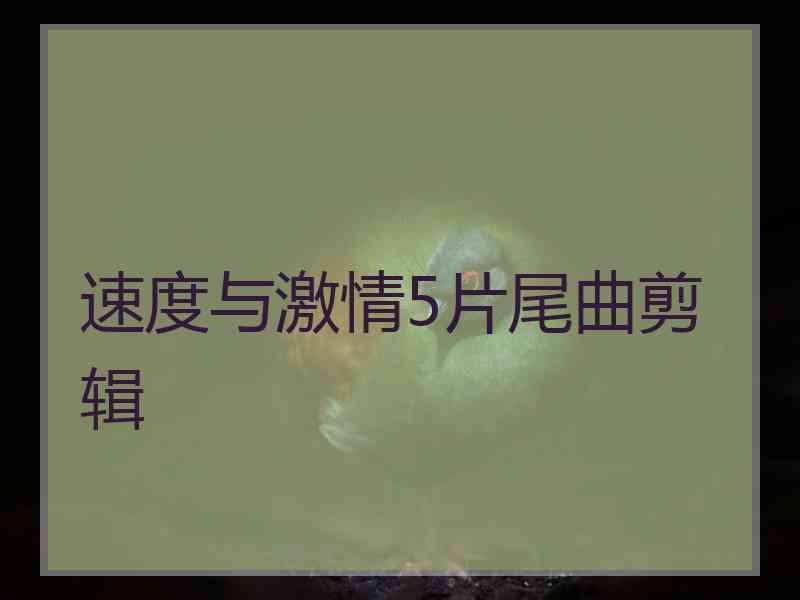 速度与激情5片尾曲剪辑