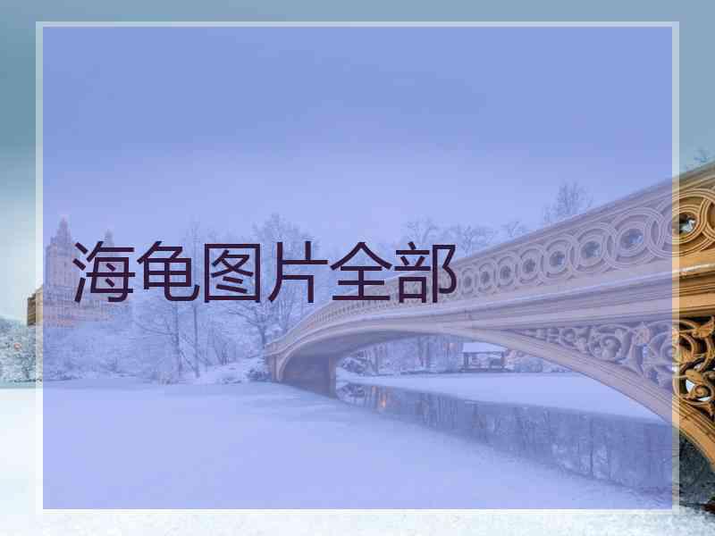 海龟图片全部