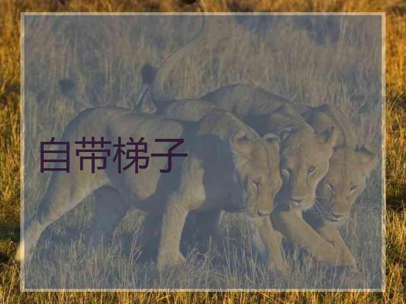 自带梯子