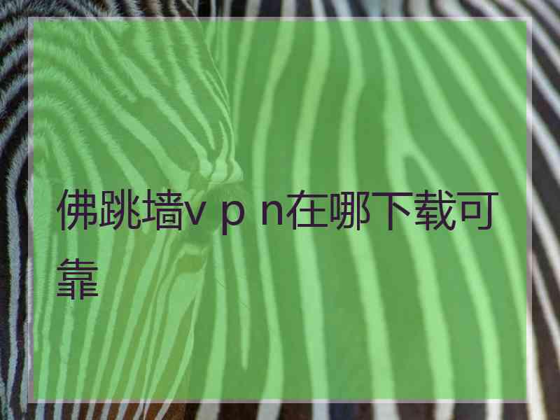 佛跳墙v p n在哪下载可靠