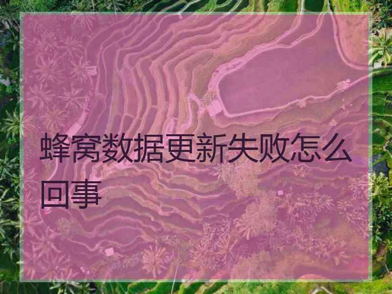 蜂窝数据更新失败怎么回事