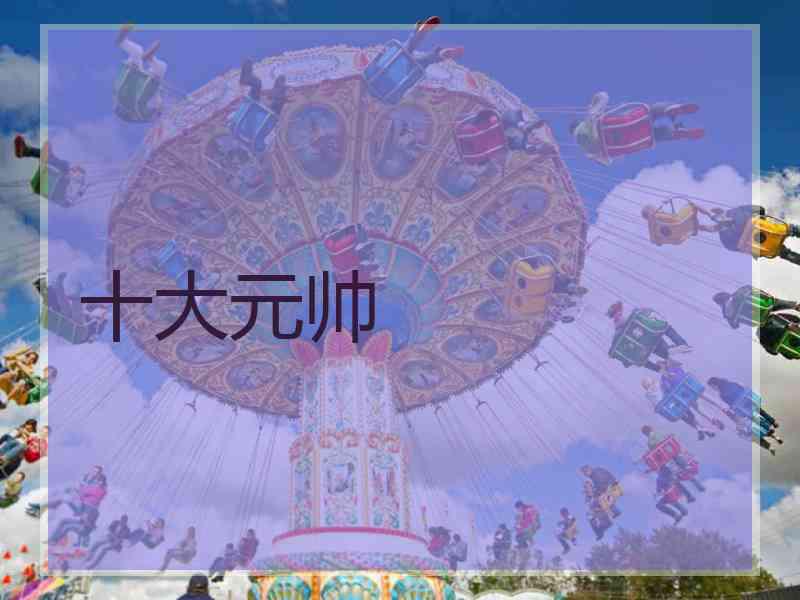 十大元帅